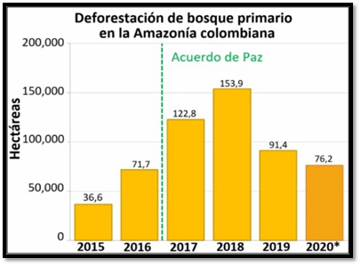 Gráfico, Gráfico de barras

Descripción generada automáticamente