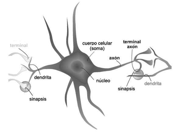 Diagrama
El contenido generado por IA puede ser incorrecto.